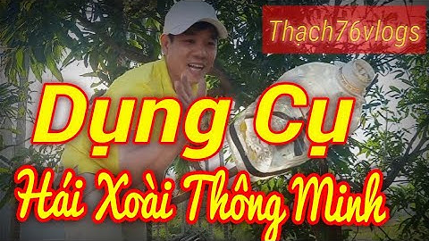 Dụng Cụ Hái Xoài Thông Minh l Cách Hái Xoài Hiệu Quả l Hái Xoài Không Dập .