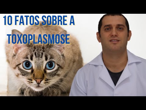 Vídeo: Como tratar a toxoplasmose em gatos?