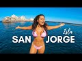 SAN JORGE Sonora Isla Virgen puedes NADAR CON LOBOS MARINOS! 😱