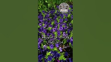 إن المتقين في جنات وعيون ادخلوها بسلام آمنين سورة الحجر #quran #islam #قرآن #بسام_أبو_عماد