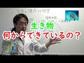 【生物】生物は何からできている？生物の構成物質