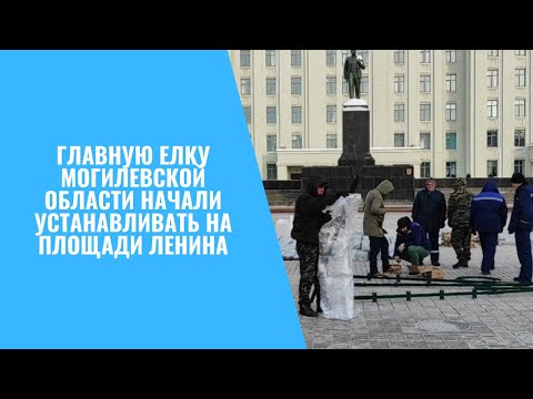 Главную елку Могилевской области начали устанавливать на площади Ленина