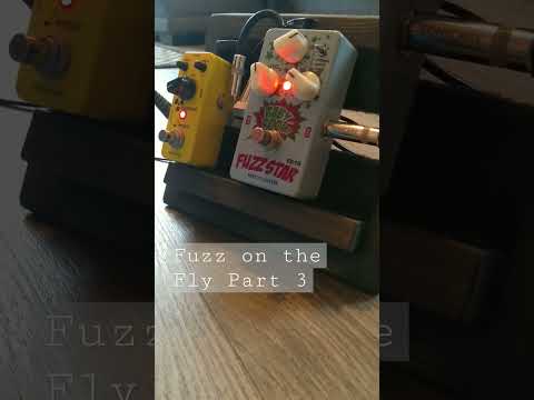 Biyang Fuzz Star