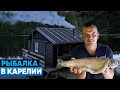 КАРЕЛИЯ. Ладожское озеро. Рыбалка. KARELIA. WILD NATURE. FISHING.|ENG SUBs|