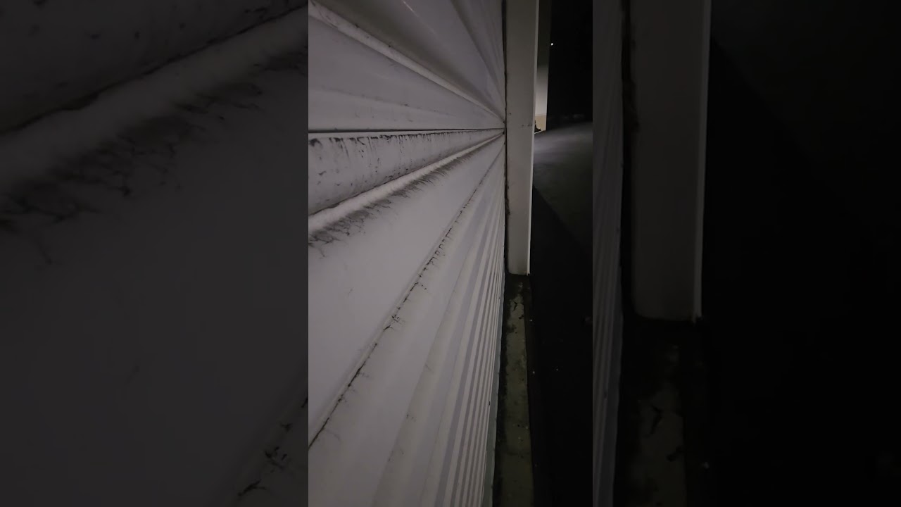 Dog Hotel-Dogs Cry at Night 