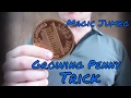 Jumbo Coin Magic Trick