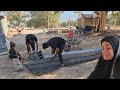 Nomadic life: building a yard for a farm house