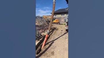 Tree Root Locating for Arborist Mapping with NDD