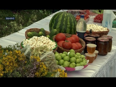 Video: Բանջարեղեն շրջված այգու համար