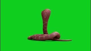 Naagin 5 · Baani - Naageshwari Animation Greenscreen · Copyright FREE