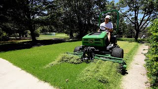 Insane Scalp and Fixes on All of My Lawns