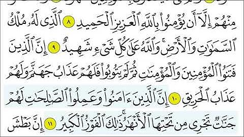 سورة البروج 10- 14