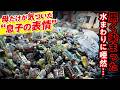 【ゴミ屋敷清掃】ヴィンテージ品が大量！？ペットボトルに埋まったお部屋を掃除！驚きの速さで回収することが出来ました！