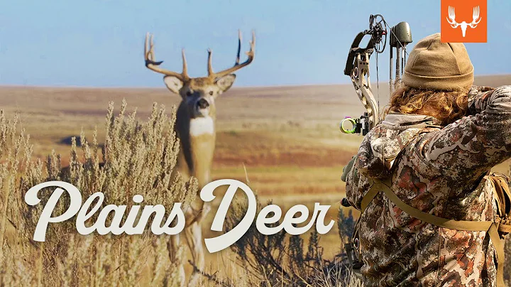 Bow Hunting Plains Deer | Buck Truck