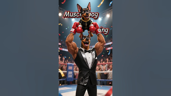 The cute puppy just wants to box, but Mum and Dad... 🤣😱#dog #cute #puppy #cancer #animals #aidog