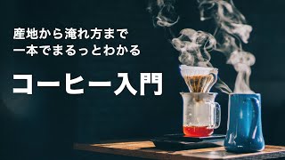 【初心者向け☕️】コーヒーに興味を持ったらまずはじめに見る動画！【品種, 精製, ドリップ, エスプレッソ, 基礎知識をまとめました】