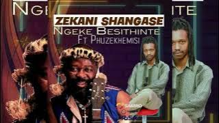 Zekani 'Ushuniwetshudeni' Shangase ft Phuzekhemisi - Ngeke Basithinte