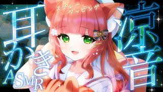 【ASMR/耳かき】冷たい感覚の耳いじりと耳かき【VTuber/耳かきボイス /こりす】