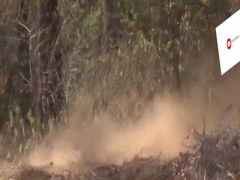 አስረስ ጎነበ ሽLL