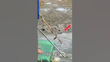 베트남 어부들의 비밀 무기