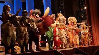 Disneys The Lion King Musical - Lyceum Theatre London January 2024. Curtain Call.