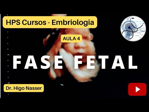 Vídeo: Cuidados Padrão Informados Pelo Resultado De Um Exame De Sangue Com Fator De Crescimento Da Placenta Versus Tratamento Padrão Isolado Em Mulheres Com Movimento Fetal Reduzido Na Ou