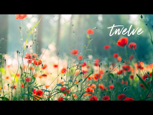 12 Hours of Relaxing Music - Piano Music for Stress Relief, Sleep Music, Meditation Music (Riley) class=