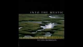 Video thumbnail of "Into The Mystic - Instrumental Bluegrass Tribute to Van Morrison - Pickin' On Series"