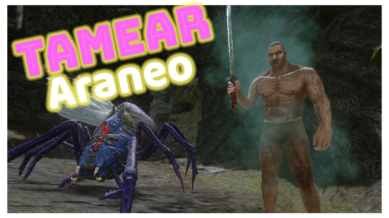 Featured image of post Araneo Ark Mobile / Ark survival evolved mobile indonesia, ketemu lagi di survivor di video ini kita akan taming kaprosochus (buaya kecil), bellzebufo (kodok), araneo (laba laba/spider).