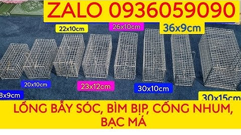 Lồng bẫy sóc. Bán lồng bẫy sóc. Lồng bẫy chuột cống nhum. Lồng bẫy bìm bịp. Lồng bãy chồn bạc má .