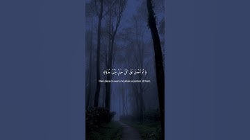 تلاوه خاشعه عبد تلرحمان مسعد #قرآن #اكسبلور #لايك #تلاوة_خاشعة #الله #quran #الله #توبة