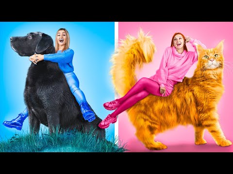 Цветной челлендж с домашними животными / Покупаем вещи и едим еду одного цвета 24 часа!