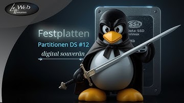 Linux neben Win11 -  Festplatten partitionieren einfach erklärt - DS#12