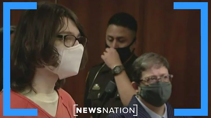 Michigan school shooter could testify against pare...