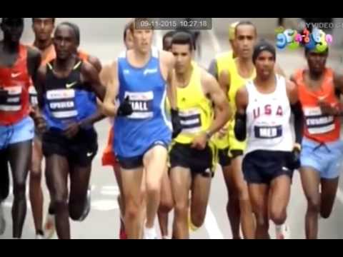 ბერძენ სპარსელთა ომები