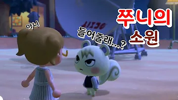 쭈니 쭈니