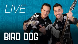 Bird Dog The Everly Set