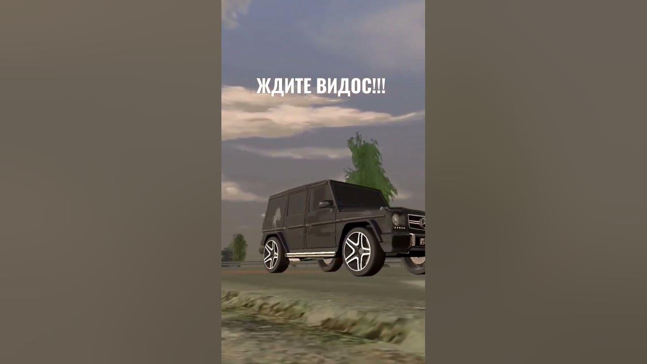 Нива Булкина Гелик
