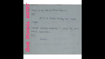 3rd Std Science- Term1 -Unit4 Science in Everyday life- questions and answers