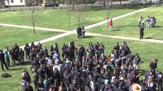 Hillhouse HARLEM SHAKE