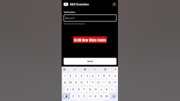 BLUM New Video Codes | DEX Evolution | Dec 6 Crypto News #blum #blumairdrop