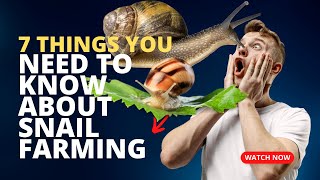 7 Things you wish you knew before starting snail farming