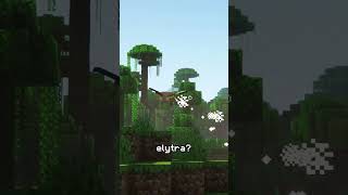 Is This the Best Elytra Combo?