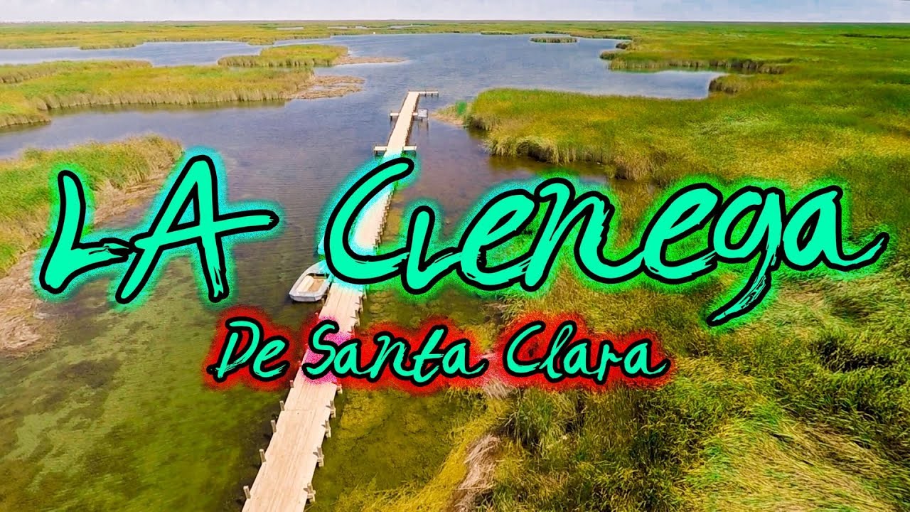 FISHING in MEXICO La Cienega De Santa Clara YouTube