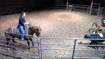 Valley View Ranch - Lectric TR Gal - sorting 2