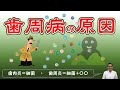 歯周病の原因・歯肉炎は細菌ですが歯周炎は分かっていません