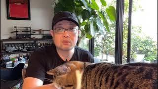 谎言帝国的国家机密与国家安全：中概股审计协议达成，但不建议把中概股当作中长期投资对象