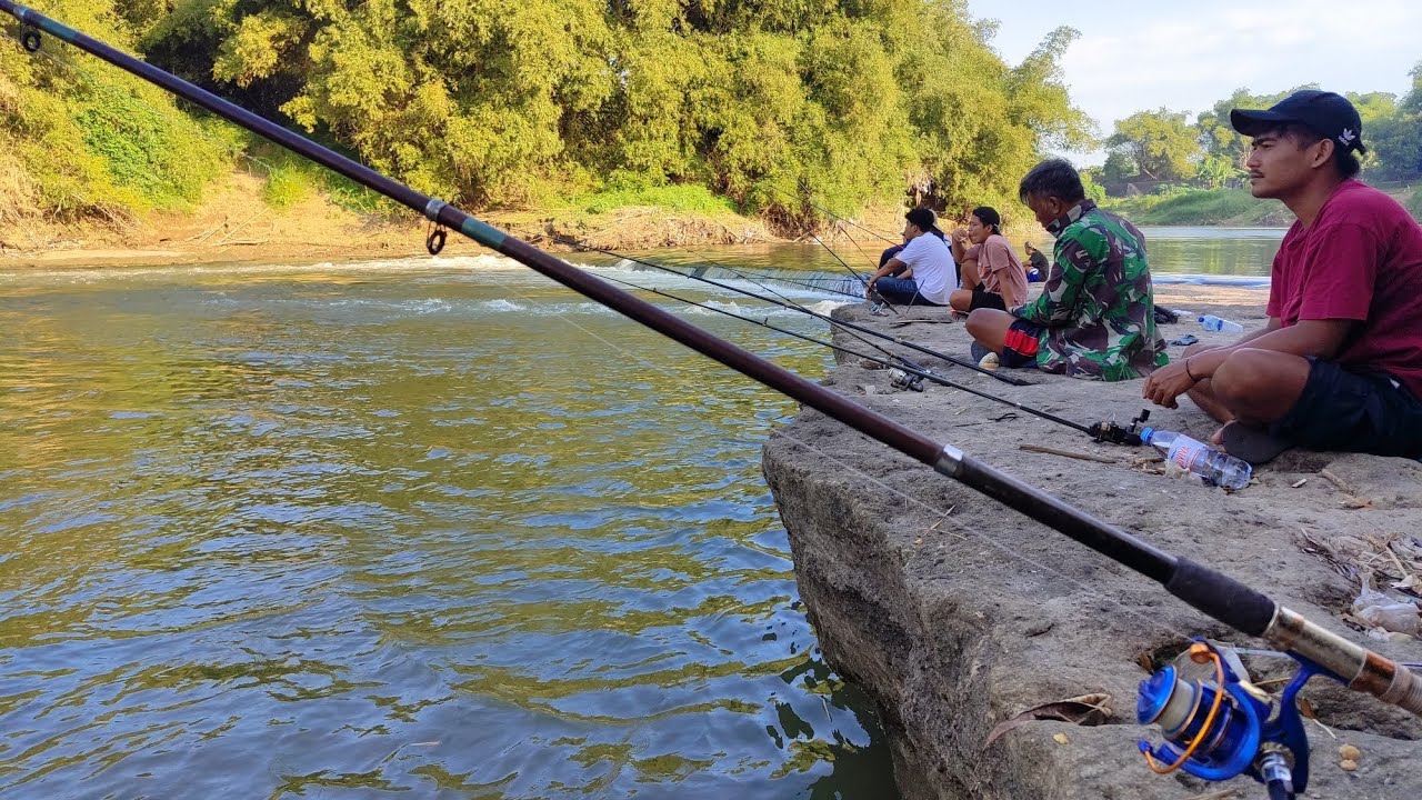 MELEDAKKK!!! SAMBARAN BABON PATIN MANCING DI LOKASI PENUH IKAN BESAR