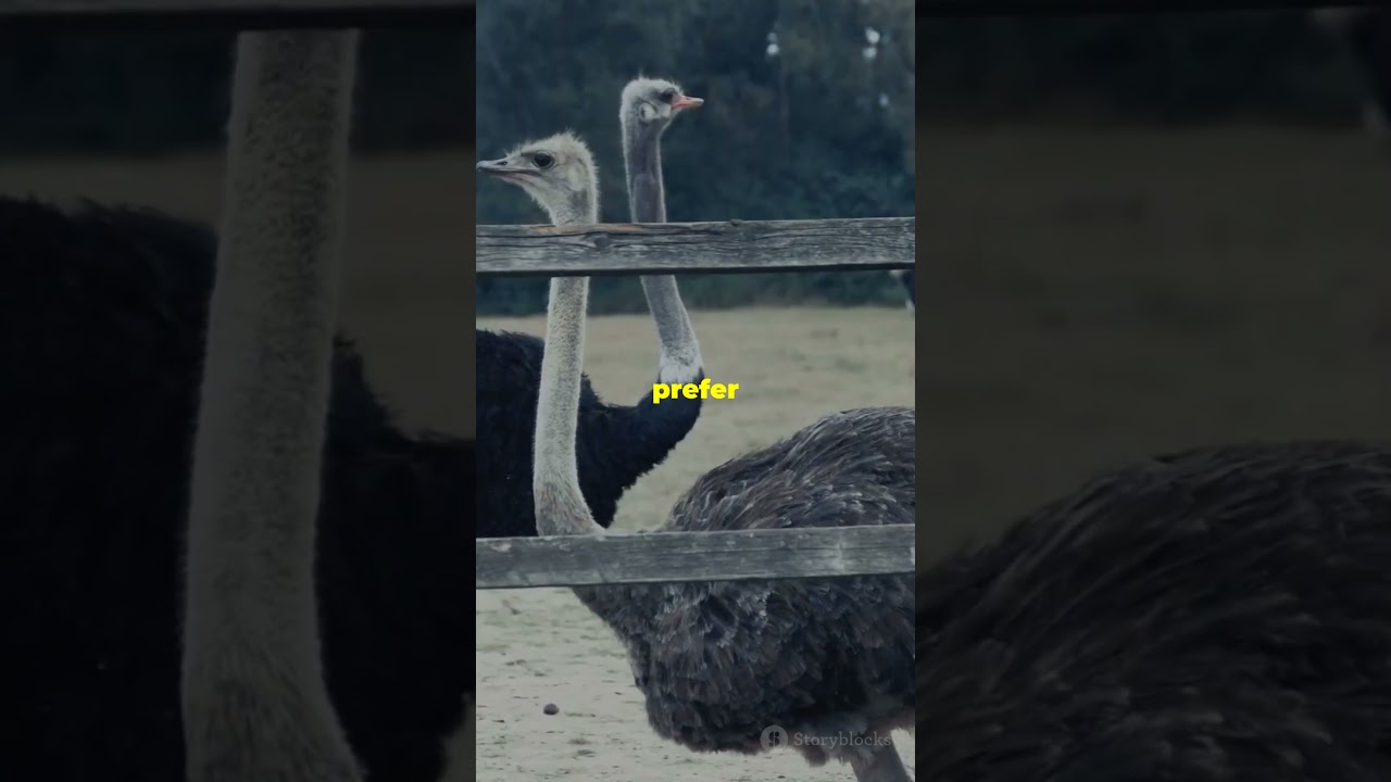 10 Random Fun Facts To Make Your Day! 