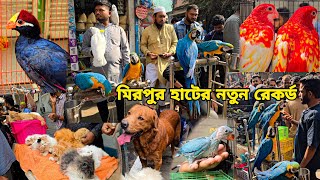 এইপ্রথম একসাথে ৪ টা ম্যাকাও | মিরপুর ১ পাখির হাট_Macaw in BD 🇧🇩Persian Cat, Dog_Mirpur 1 pakhir haat